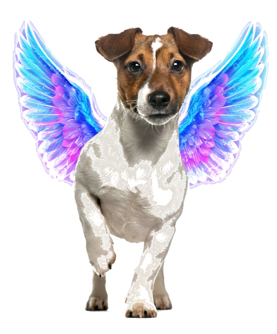 Your pet lives forever